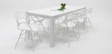 Dallas Fantail 9pc Dining Setting - White